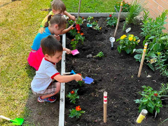 Children planting flowers in a garden bed with care.